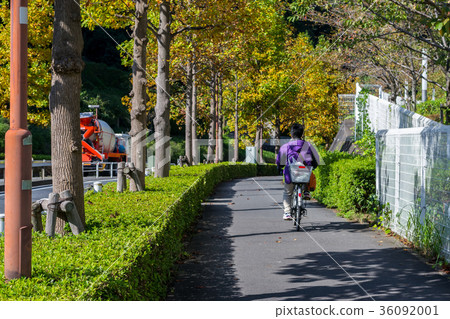 People riding bicycle in Inagi-shi,Tokyo,Japan People riding bicycle in Inagi-shi,Tokyo,Japan 36092001