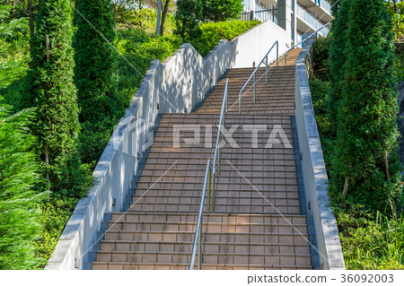 Concrete stairways with tree in Japan Concrete stairways with tree in Japan 36092003