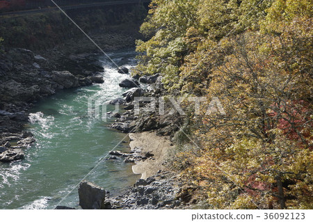 Hozukyo autumn Kyoto sightseeing trolley train Hozukyo autumn Kyoto sightseeing trolley train 36092123