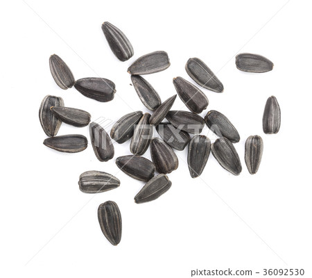 Sunflower seeds isolated on white background. Top Sunflower seeds isolated on white background. Top 36092530