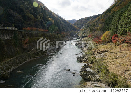 Hozukyo autumn Kyoto sightseeing trolley train Hozukyo autumn Kyoto sightseeing trolley train 36092587