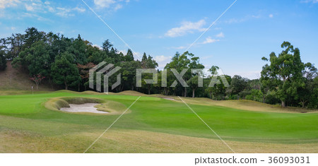 Golf course Golf course Putting green 36093031