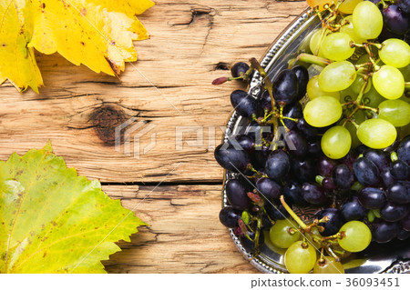 grapes on a tray grapes on a tray 36093451