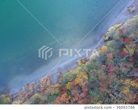 Onuma Onuma 36093786