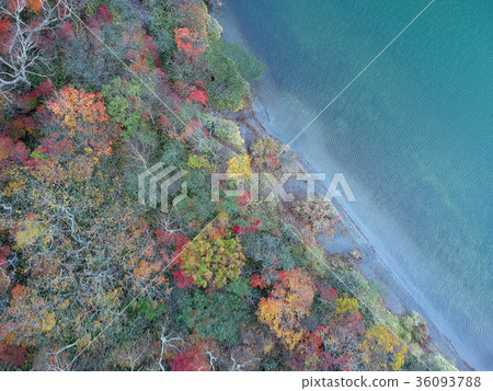 Onuma Onuma 36093788