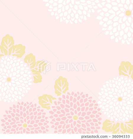 背景菊花 36094333