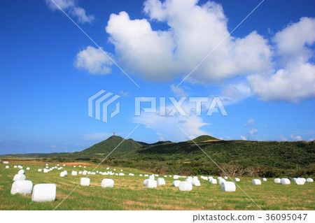 沖繩與那國島風光 沖繩與那國島風光 36095047