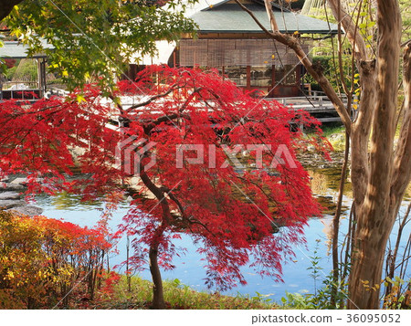一個花園 36095052