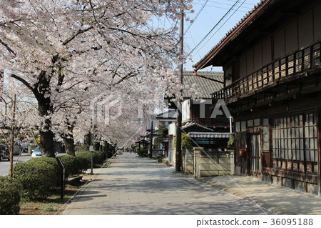 Ogawa Pass (Oiso) Street (Ganma Komar, Ganrakcho) Ogawa Pass (Oiso) Street (Ganma Komar, Ganrakcho) 36095188
