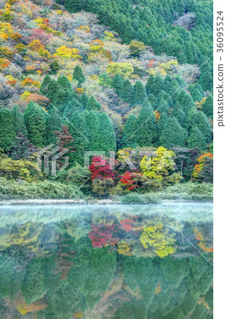 Dawn of Hakone Otamagaike 36095524