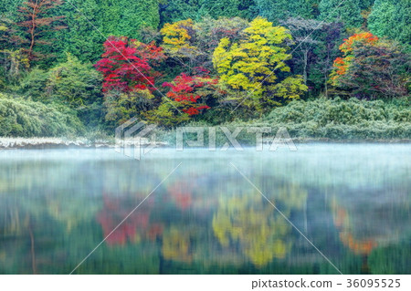 Dawn of Hakone Otamagaike 36095525