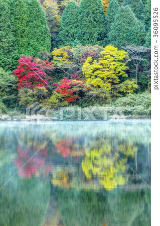 Dawn of Hakone Otamagaike 36095526
