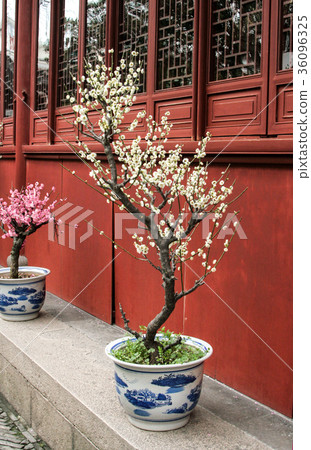 Beautiful Chinese gardens 36096325