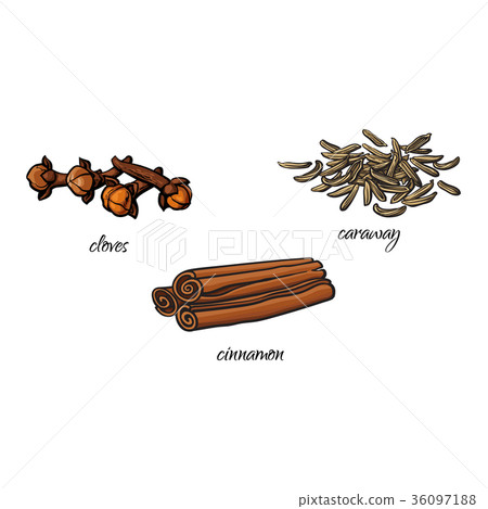 vector flat sketch spices, condiments herbs set 36097188