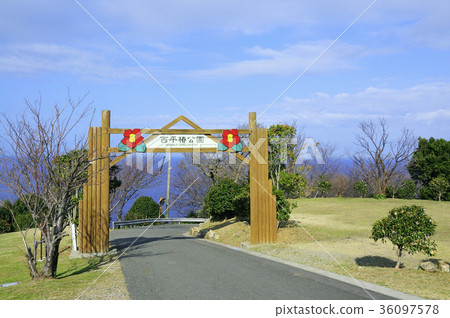 Rose blooming Nishihira park Rose blooming Nishihira park 36097578