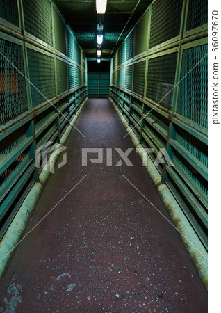 Night walkway Night walkway 36097670