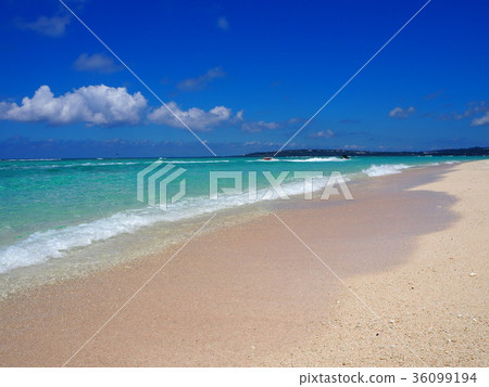 Northern Okinawa Sesame Beach 36099194