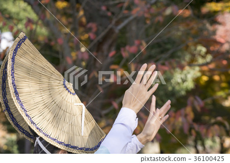 節日形像阿波舞 節日形像阿波舞 36100425