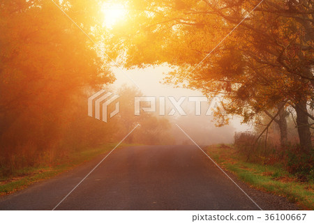 Road to the fog Road to the fog 36100667