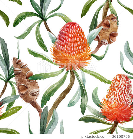 Watercolor tropical australian pattern 36100796
