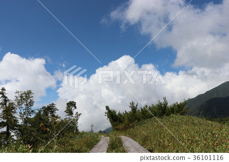 穿過春日原(富山縣立山町) 穿過春日原(富山縣立山町) 36101116