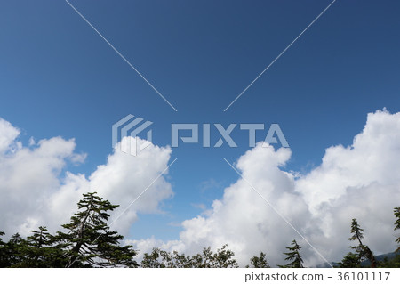 雲和樹木遊行(富山縣立山町) 雲和樹木遊行(富山縣立山町) 36101117