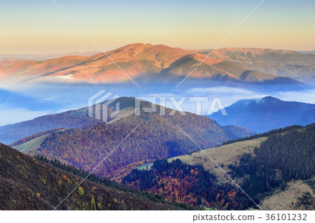 beautiful morning of a misty autumn dawn beautiful morning of a misty autumn dawn 36101232