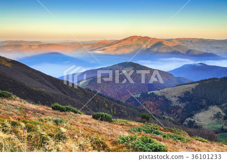 beautiful morning of a misty autumn dawn beautiful morning of a misty autumn dawn 36101233