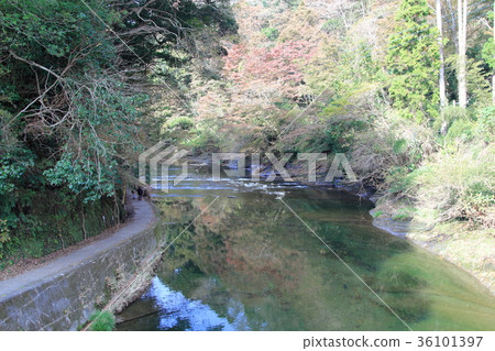 Yoroi Valley 36101397