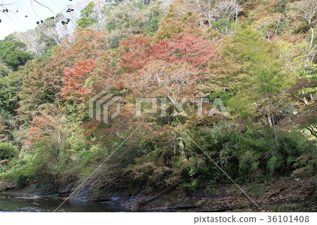 Yoroi Valley 36101408