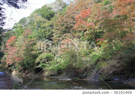 Yoroi Valley 36101409