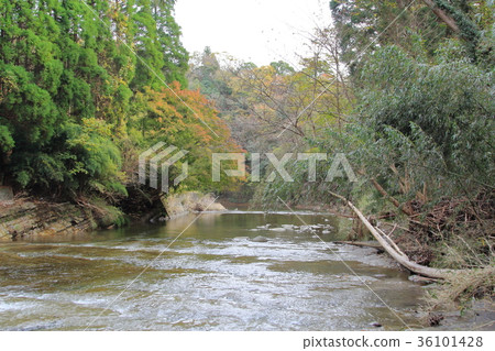 Yoroi Valley 36101428