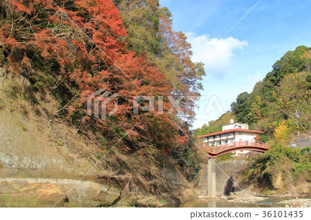 Yoroi Valley 36101435