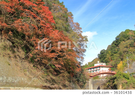 Yoroi Valley 36101438