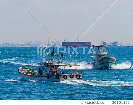 明石海峽釣魚短觀 明石海峽釣魚短觀 36101532