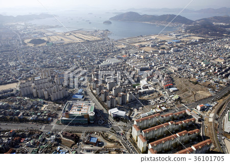 鎮海 鎮海 36101705