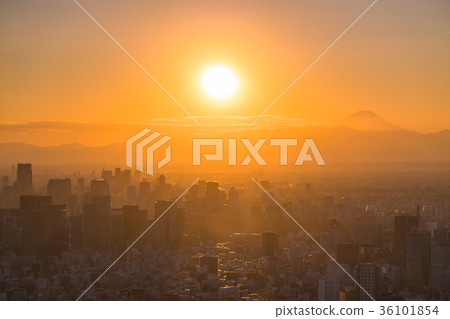 Tokyo cityscape Tokyo cityscape 36101854