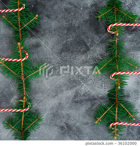 Border frame made of winter tree and candy cane Border frame made of winter tree and candy cane 36102000