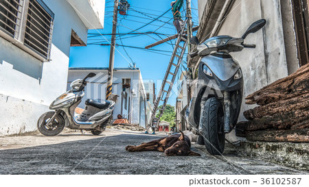 蘭嶼 蘭嶼 36102587