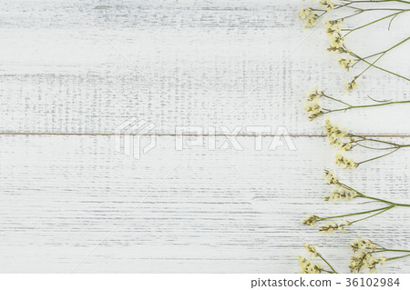 Yellow limonium caspia flowers on white wood Yellow limonium caspia flowers on white wood 36102984