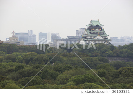 在大阪城公園（城堡塔） 36103521