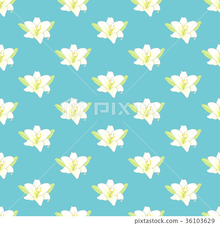 White Lily Flower on Pastel Blue Background 36103629