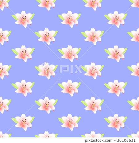 Pink Lily Flower on Purple Background 36103631