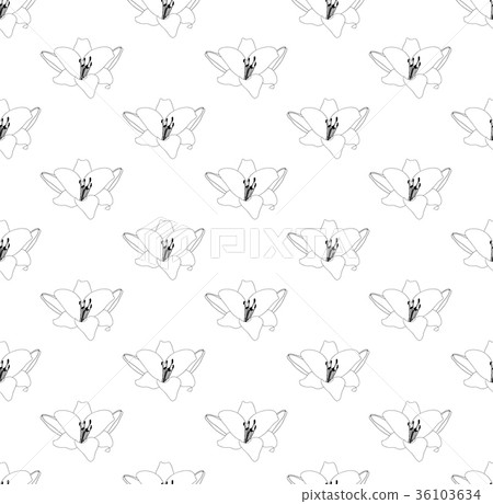 Lily Flower Seamless on White Background 36103634