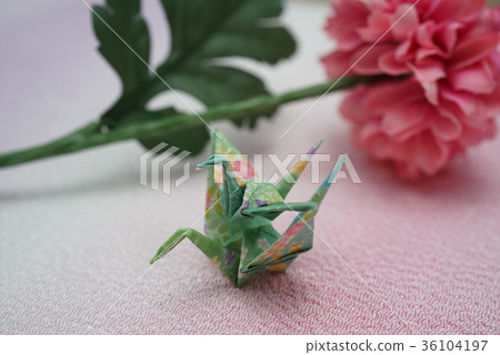 Saotome（Sotome） 36104197