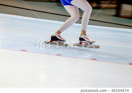 woman legs athlete speed skater 36104874