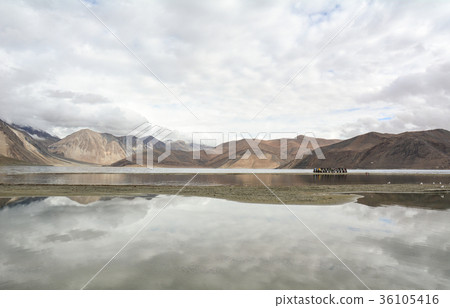 Pangong Lake in Ladakh, India 36105416