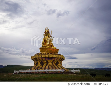 Big Buddha on the grass hill at Yarchen Gar Big Buddha on the grass hill at Yarchen Gar 36105677