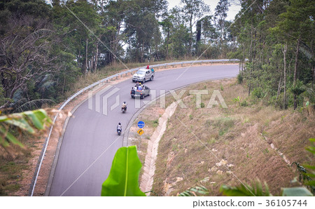 Mountain road with green forest 36105744