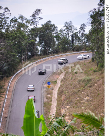 Mountain road with green forest 36105747